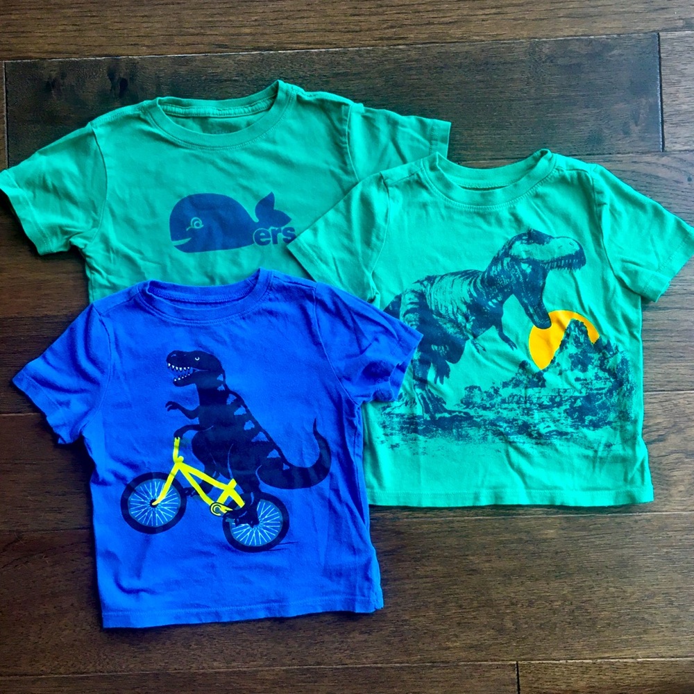 Toddler Boy T-shirts 2T